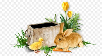 Quotation Easter Afrikaans Digital scrapbooking - easter frame 