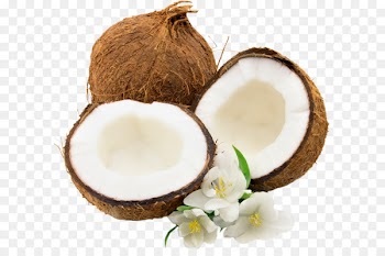 Rabaul Coconut water Coconut milk - Coconut PNG image 