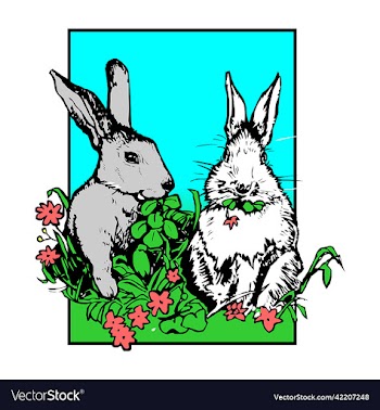 rabbit