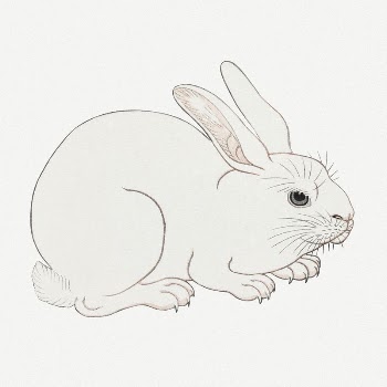 Rabbit collage element, Japanese vintage | Free PSD Illustration - rawpixel