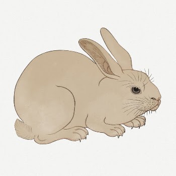 Rabbit collage element, Japanese vintage | Free PSD Illustration - rawpixel