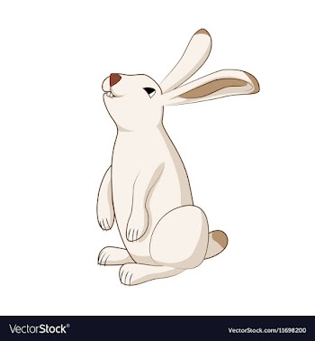 Rabbit cute hare bunny isolated vector image