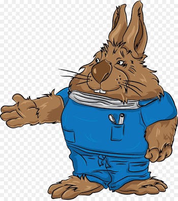Rabbit Drawing Clip art Illustration Image - rabbit 