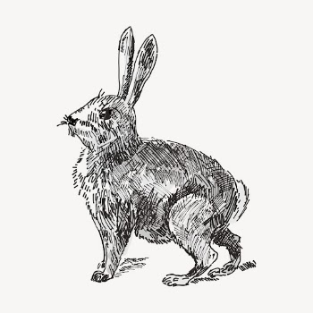 Rabbit hand drawn clipart, animal | Free Vector - rawpixel