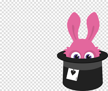 Rabbit Hat PNG Photo