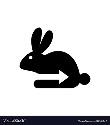 Rabbit icon logo design vector image
