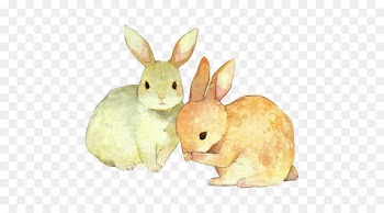 Rabbit Illustration Watercolor painting Drawing Image - baby rabbit 