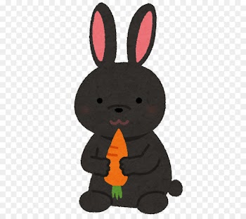 Rabbit Image Hare Illustration Portable Network Graphics - rabbit 