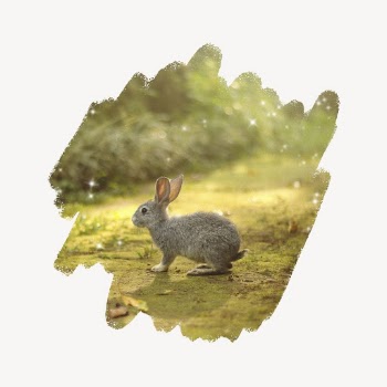 Rabbit in forest, brush stroke | Free PSD - rawpixel
