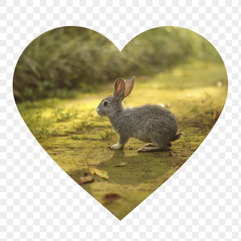 Rabbit png badge sticker, Easter | Free PNG - rawpixel