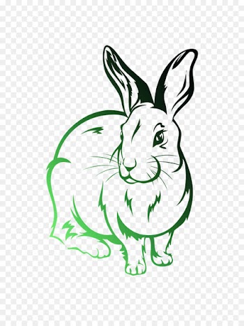 Rabbit rabbit rabbit Drawing Image Illustration -  