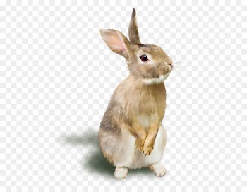 Rabbit Raster graphics RGB color model - A rabbit 