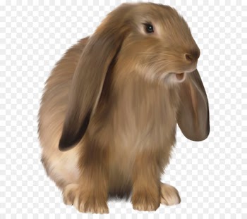 Rabbit Scalable Vector Graphics Clip art - Cute Brown Bunny PNG Picture 