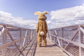Rabbit Suit on Bridge Free Photo 