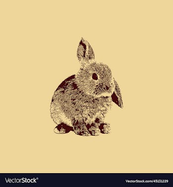 rabbit vintage creative design