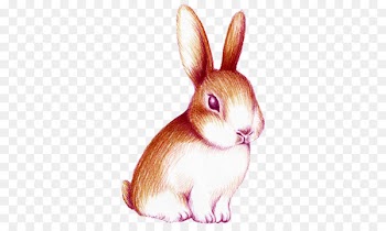 Rabbit Watercolor painting - Hand-painted watercolor rabbit 