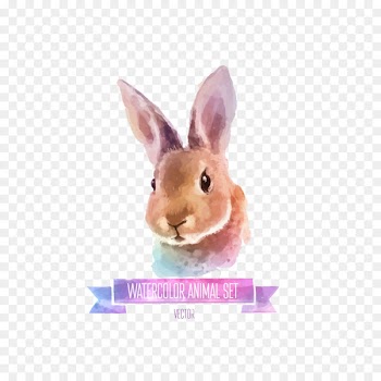 Rabbit Watercolor painting Illustration - Hand-painted rabbit 