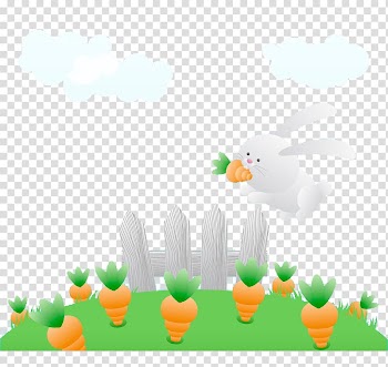 Rabbit, White rabbit transparent background PNG clipart