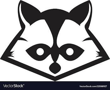 Raccon logos vector image