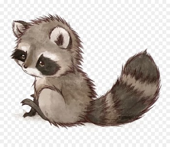 Raccoon Squirrel Drawing Cuteness Cat - Vector small raccoon 