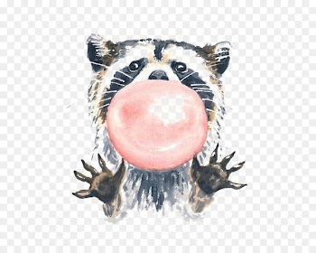 Raccoon Watercolour Flowers Watercolor painting Illustration - raccoon 