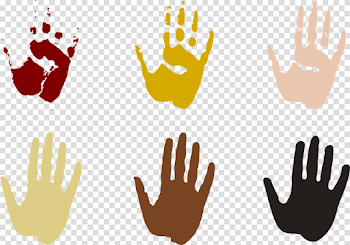 Race, Resistance and Modernity (SO342)