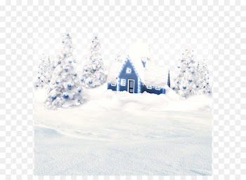 Racetrack Section, North Bergen Christmas tree Thermoelectric cooling Peltier element - Christmas tree covered with snow 