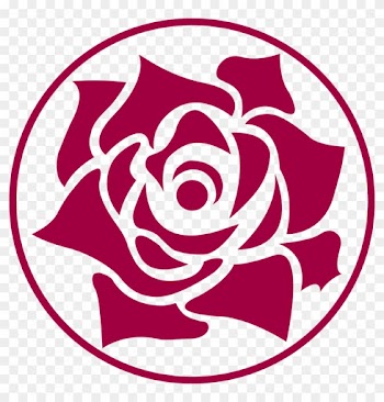 Rachel Alucard Rose Vector - Rose Vector Png