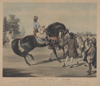 [Racing]: (1) Godolphin Arabian - | Free Photo - rawpixel