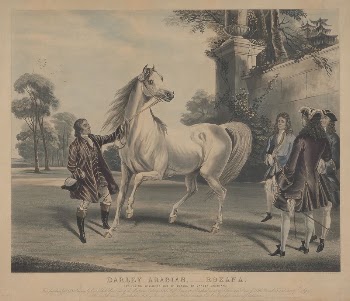 Racing: (2) Darley Arabian - | Free Photo - rawpixel