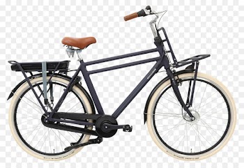 Racing bicycle Cycle-Ops Popal Daily Dutch Basic Women's Bike Trek FX - bicycle 