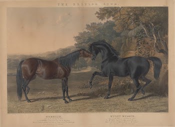[Racing] The British Stud:  | Free Photo - rawpixel