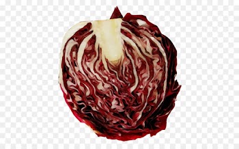 radicchio vegetable leaf vegetable red cabbage