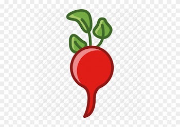 Radish Clipart Food Garden - Food