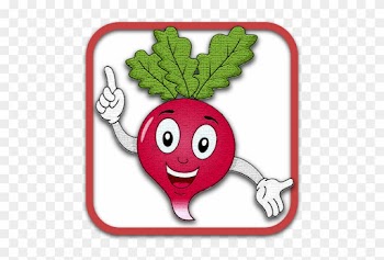 Radish - Radish