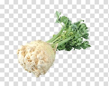 Radish vegetable, Celeriac transparent background PNG clipart