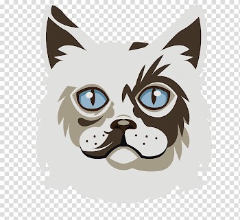 Ragdoll Whiskers Kittens today Dog, White cat cartoon animal free material transparent background PNG clipart