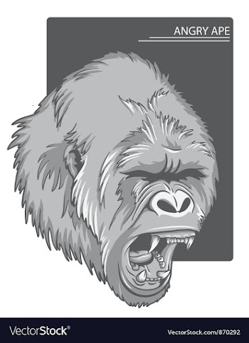 Raging gorilla vector image