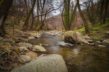 Raging River