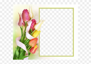 Rahmen, Deko, Foto Online, Blumenfotos, Rosenblüten, - Tulips Frame Png