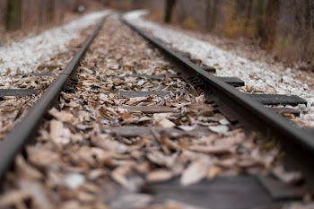 Railroad Tracks With Leaves