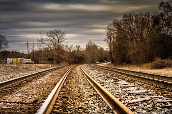 Railway and Trees