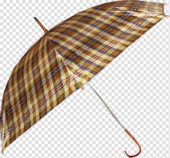 Rain Autumn Snow Meteorology Fog, umbrella transparent background PNG clipart