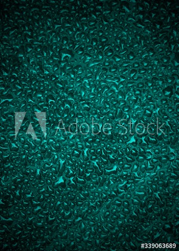 Rain drops on a window