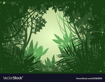 Rain forest scene vector image