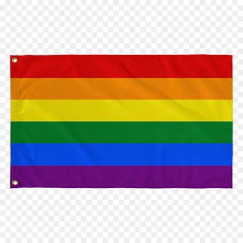 Rainbow flag Gay pride Pride parade LGBT - bangle flag 