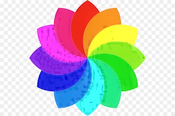 Rainbow, Flower, Color, Wheel, Petal PNG