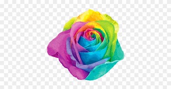 Rainbow Flower - Rainbow Rose Png