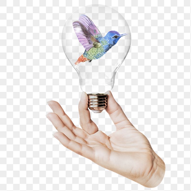 Rainbow hummingbird png sticker, hand | Free PNG - rawpixel