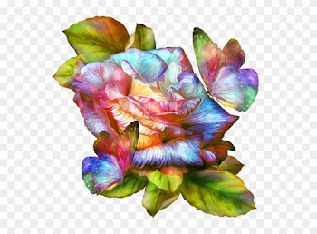 Rainbow Rose And Butterflies By Carol Cavalaris - Rainbow Rose